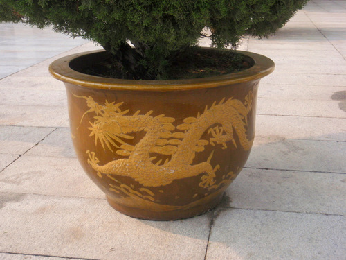 Dragon pot